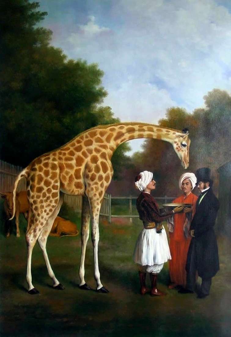 Нубийский жираф   Жак Лоран Агас