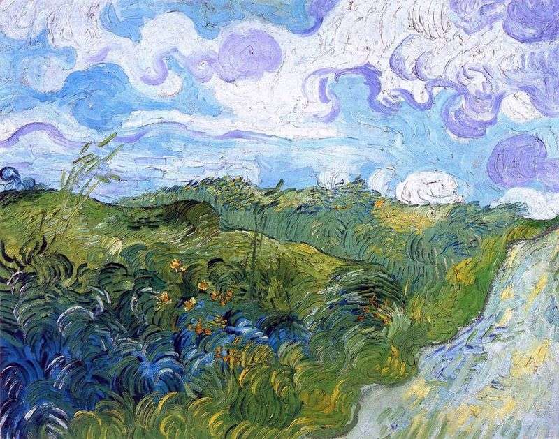 Зелені поля пшениці   Вінсент Ван Гог