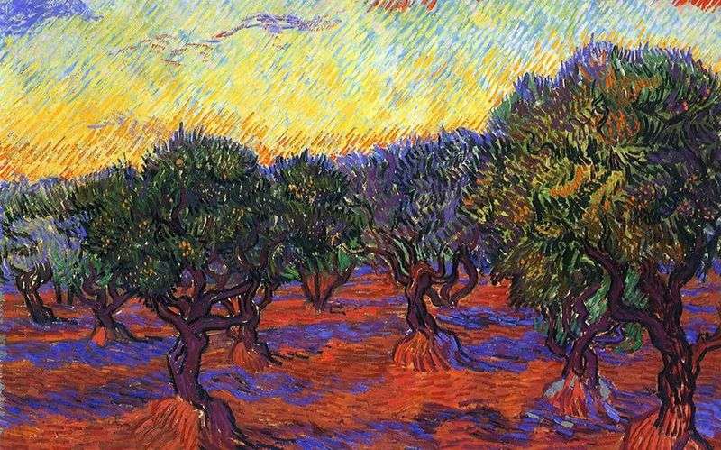 Оливковий гай: помаранчеве небо   Вінсент Ван Гог