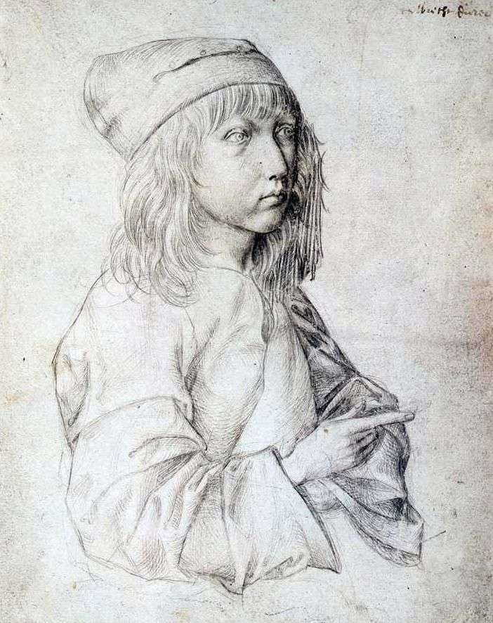 Автопортрет 1484 року   Альбрехт Дюрер